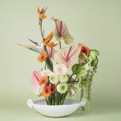 Anissa Kermiche White Noise Ear Bowl- Home